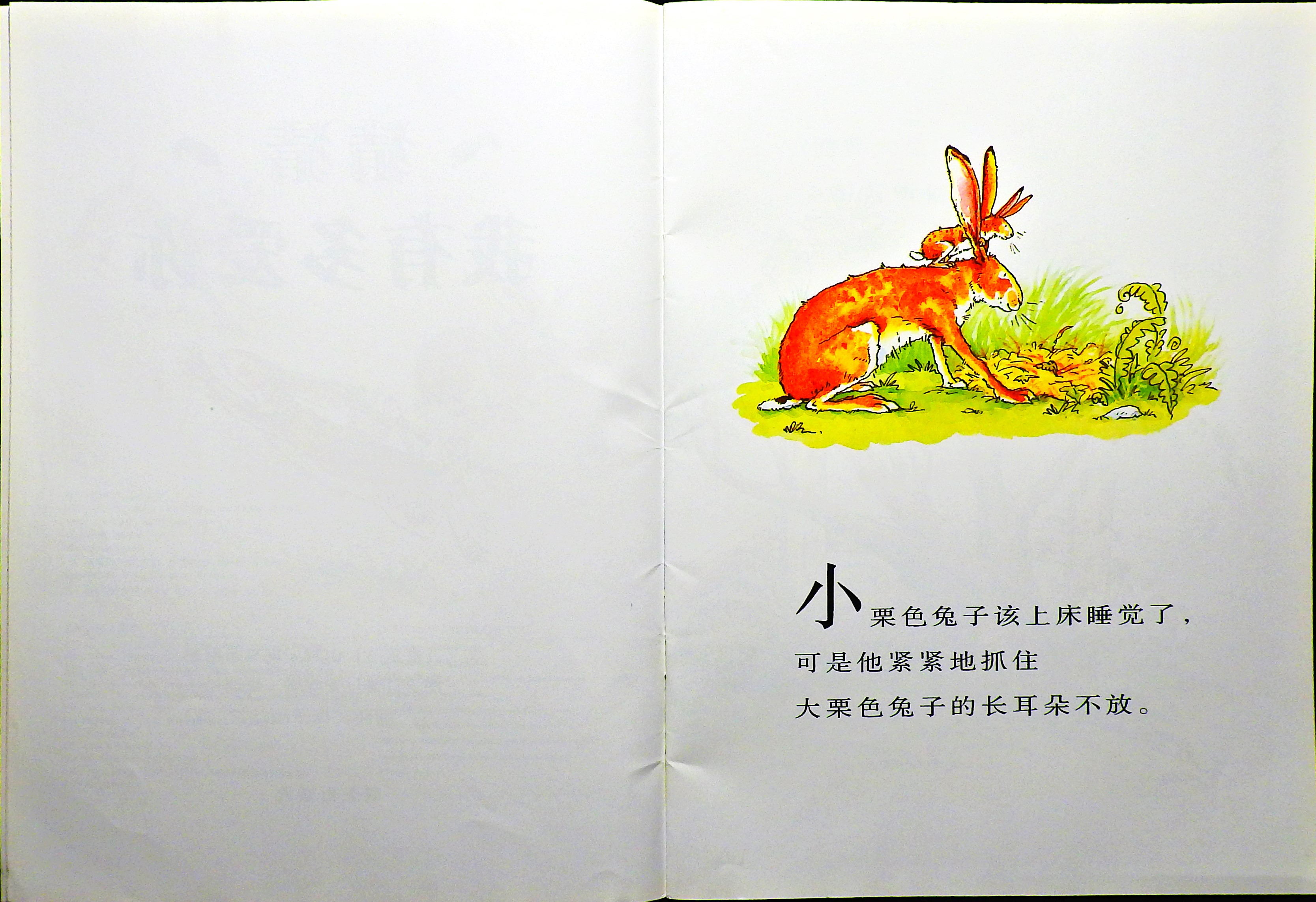 猜猜我有多爱你 (04),绘本,绘本故事,绘本阅读,故事书,童书,图画书,课外阅读
